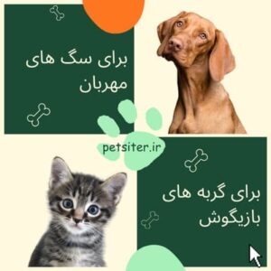 پت سیتر برای سگ ها و گربه ها