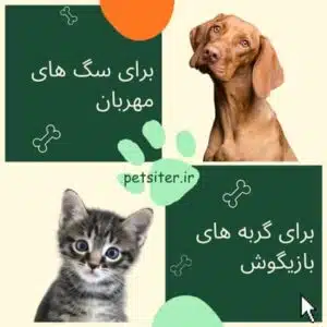 پت سیتر برای سگ ها و گربه ها