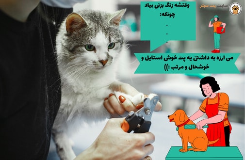 آرایشگر حیوانات خانگی