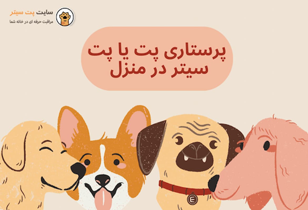 پرستاری پت در منزل (2)