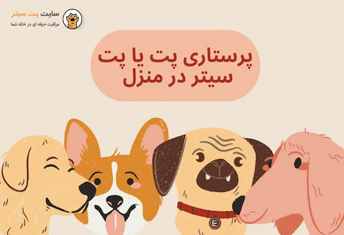 پرستاری پت در منزل (2)