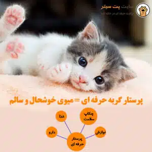پرستاری حرفه ای گربه در منزل